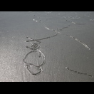 Schnecken ziehen unter der Sandoberfläche ihre Bahnen